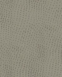 Quill-nj 896 Mirror by   