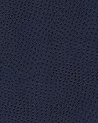 Quill-nj 897 Rowan by   