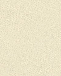 Quill-nj 899 Foam by   