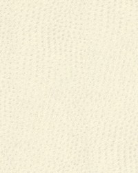 Quill-nj 900 Whipped by   