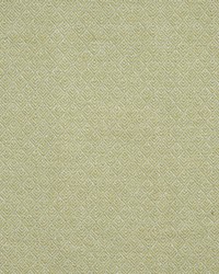 Queenswood 911 Celery by   