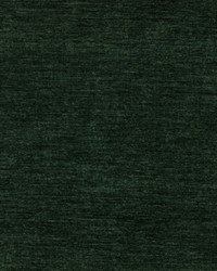 Rave 618 Evergreen by   