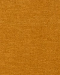 Rave 624 Cantaloupe by   