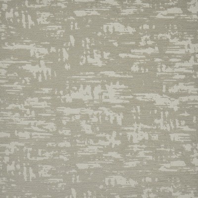 Rustica 650 Lion in HOME & GARDEN-ACT III BELLA-DURA  Blend Fire Rated Fabric Heavy Duty CA 117  NFPA 260  Outdoor Textures and Patterns  Fabric
