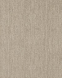 Riveted 119 Sponge by   