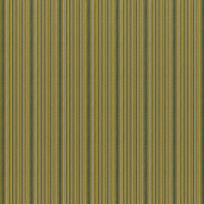 Rio Grande 834 Cucumber in COLORGUARD - AMAZONIA Green POLYESTER Traditional Chenille  High Wear Commercial Upholstery Striped   Fabric