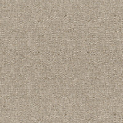 Rockhopper 210 Hay in COLORGUARD - NOUGAT ACRYLIC/45%  Blend High Wear Commercial Upholstery Faux Linen   Fabric