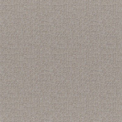 Rockhopper 217 Marble in COLORGUARD - NOUGAT ACRYLIC/45%  Blend High Wear Commercial Upholstery Faux Linen   Fabric