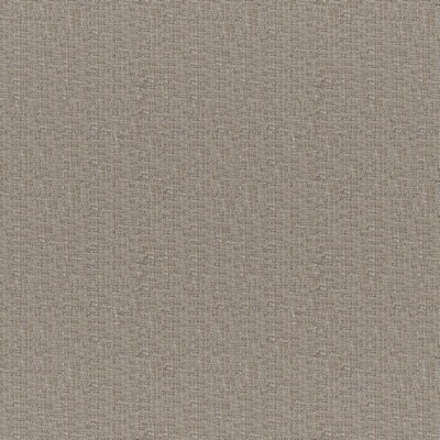 Rockhopper 252 Beaver in COLORGUARD - NOUGAT ACRYLIC/45%  Blend High Wear Commercial Upholstery Faux Linen   Fabric