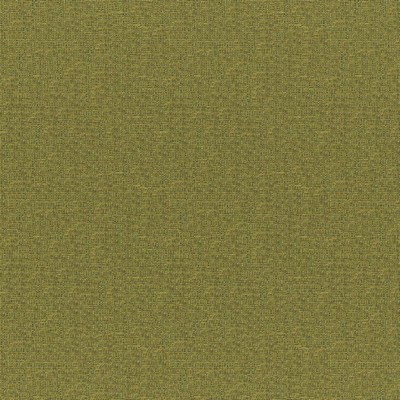 Rockhopper 833 Fern in COLORGUARD - AMAZONIA Green ACRYLIC/45%  Blend High Wear Commercial Upholstery Faux Linen   Fabric