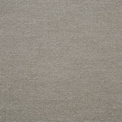 Rex 810 Peanut in PERFORMANCE WOVENS-BADLANDS Beige Upholstery ACETATE/29%  Blend High Wear Commercial Upholstery  Fabric