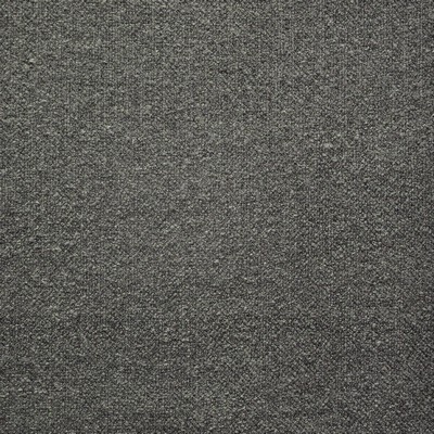 Rex 923 Iron in PERFORMANCE WOVENS-SILVER SUN Grey Upholstery ACETATE/29%  Blend High Wear Commercial Upholstery  Fabric