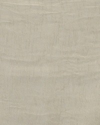 Roderigo 622 Titanium by   