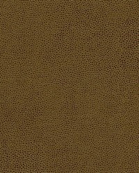 Rambutan-nj 755 Hazelnut by   