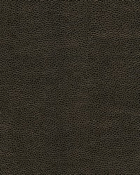 Rambutan-nj 758 Soot by   