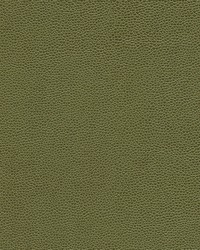 Rambutan-nj 761 Bush by   