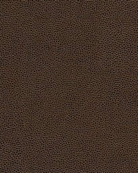 Rambutan-nj 762 Archive by   