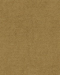 Rambutan-nj 764 Clay by   