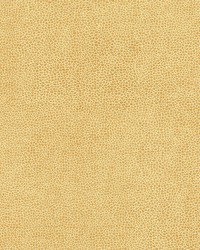 Rambutan-nj 765 Buff by   