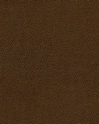 Rambutan-nj 772 Husk by   