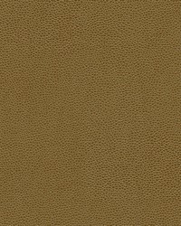 Rambutan-nj 775 Oak by   