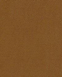 Rambutan-nj 776 Maple by   