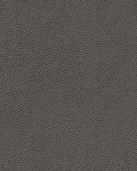 Rambutan-nj 779 Graphite by   