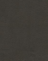 Rambutan-nj 781 Wiltshire by   