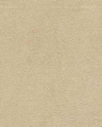 Rambutan-nj 782 Cappucino by   