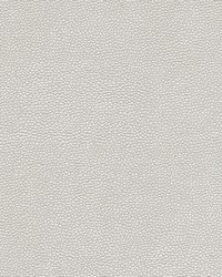 Rambutan-nj 783 Milk by   