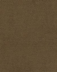 Rambutan-nj 784 Espresso by   