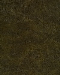 Rhone-nj 970 Pinecone by   