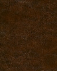 Rhone-nj 972 Beaver by   