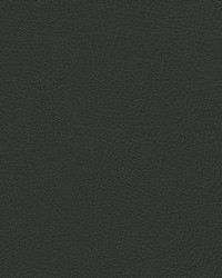 Rugged-nj 498 Monument by   