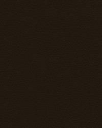 Rugged-nj 499 Cacao by   