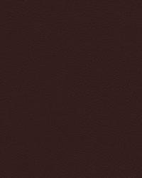 Rugged-nj 500 Maroon by   