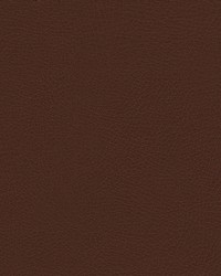 Rugged-nj 501 Corroded by   