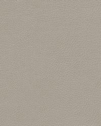 Rugged-nj 505 Greige by   