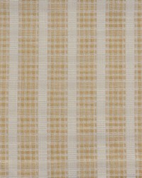 Road Trip 856 Latte by   