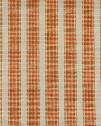 Road Trip 911 Koi by   