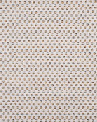 Russell 820 Beach by  Lee Jofa 