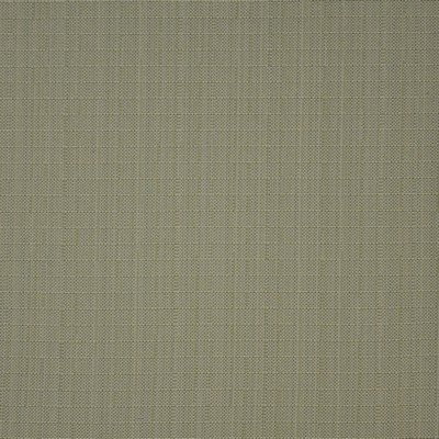 Skipjack 807 Honeydew in HOME & GARDEN-ACT IV BELLA-DURA  Blend Fire Rated Fabric Heavy Duty CA 117  NFPA 260  Solid Outdoor   Fabric
