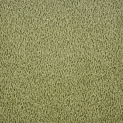 Spotlight 212 Grasslands in EASY RIDER V Green PVC  Blend Fire Rated Fabric High Wear Commercial Upholstery CA 117  NFPA 260   Fabric