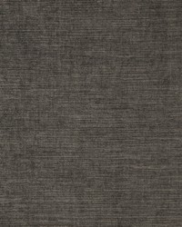 Shavasana 06 Pinecone by   