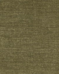 Shavasana 23 Cactus by   