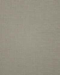 Stefano 113 Pewter by   