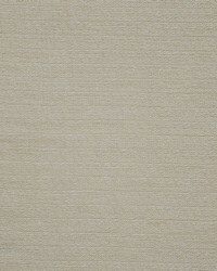 Stefano 117 Eucalyptus by   