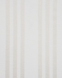 Stevie 923 Demerara by   