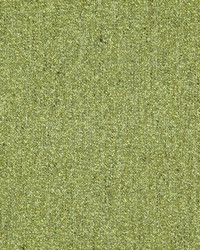 Solar System 406 Grass by  Maxwell Fabrics 