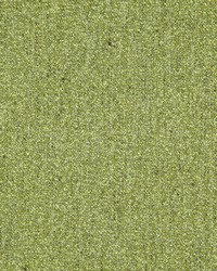 Solar System 406 Grass by   